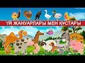 Үй жануарлары мен құстары | Домашние животные на казахском языке