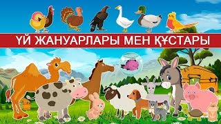 Үй жануарлары мен құстары | Домашние животные на казахском языке