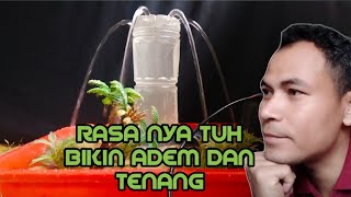 Cara Membuat Air Mancur Dari Botol Plastik Bekas