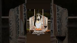 you must pay the borzoi tax, part 1