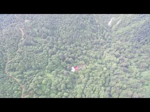 çamlıcadan bir doga