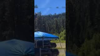 F/A-18 plane crashes in Washington state #shorts #fa18
