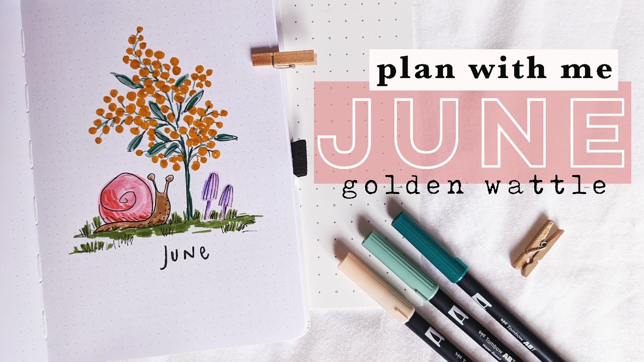 How to Draw Anything: Bullet Journal Hack ⋆ The Petite Planner