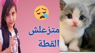 قطة مع ياسين وجودى شوفوا عملوا معاها إيه?