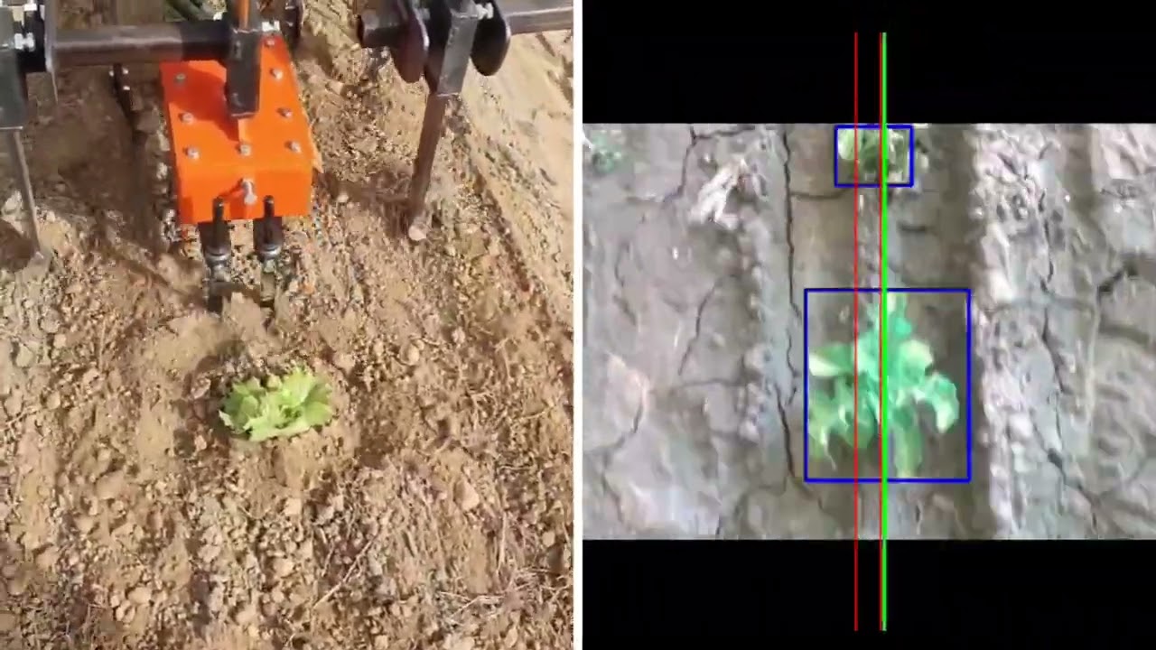 Guida autonoma Euclide 1.0 - Sarchiatrice interpianta Euclide 2.0