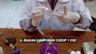 Praktikum Mikrobiologi (Percobaan I Pewarnaan Gram)