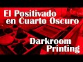 Positivado en Cuarto Oscuro (Laboratorio Fotográfico) / Darkroom Printing by Eduardo Almeida (3/4)