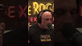 Jre And Santino On Bot Farms
