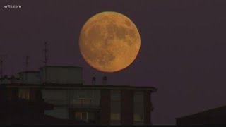 Do full moons really cause changes in people