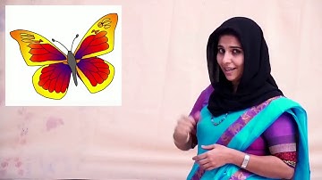 Std 4 English Unit 1 Class 01 White Board ID mp4