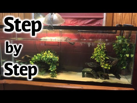 Vidéo: Comment Choisir Le Bon Filtre Et Le Bon Réservoir Turtle Tank