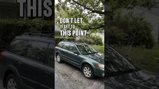 ✂️ Tree Pruning Helps Prevent Bigger Issues