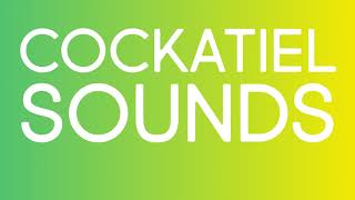 Cockatiel SOUND EFFECTS @soundboards