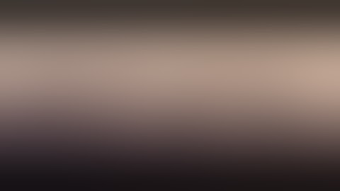 CVA Optima MAGNUM Hammer, Hammer Spring, and Trigger Assembly reassembly