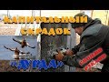 Капитальный скрадок из досок (дурда) своими руками