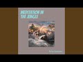 Meditation in the Jungle