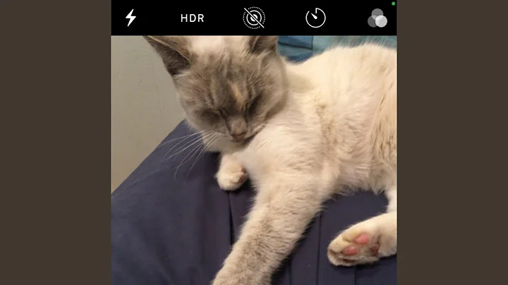 Goodnight Bro. (156th)