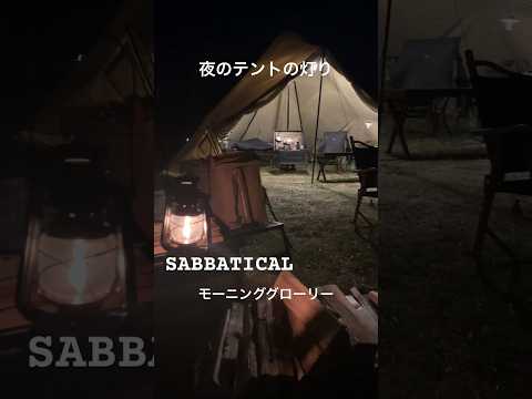 【Camp】サバティカルモーニンググローリー夜の灯り#shorts #キャンプ #テント