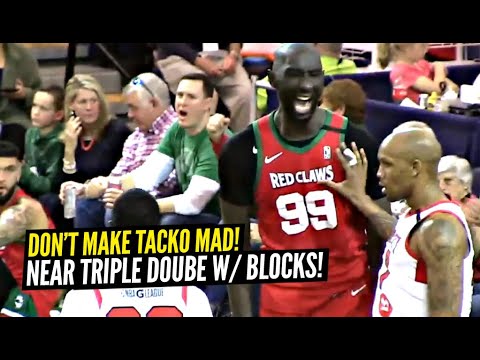 Don’t make Tacko Fall Mad! Almost Triple Double With BLOCKS! 16 points, 14 Rebounds & 9 Blocks!