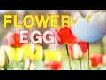 ゆで卵の飾り切り花形 Like a flower,how to cut egg【ライフハック】【便利裏技】