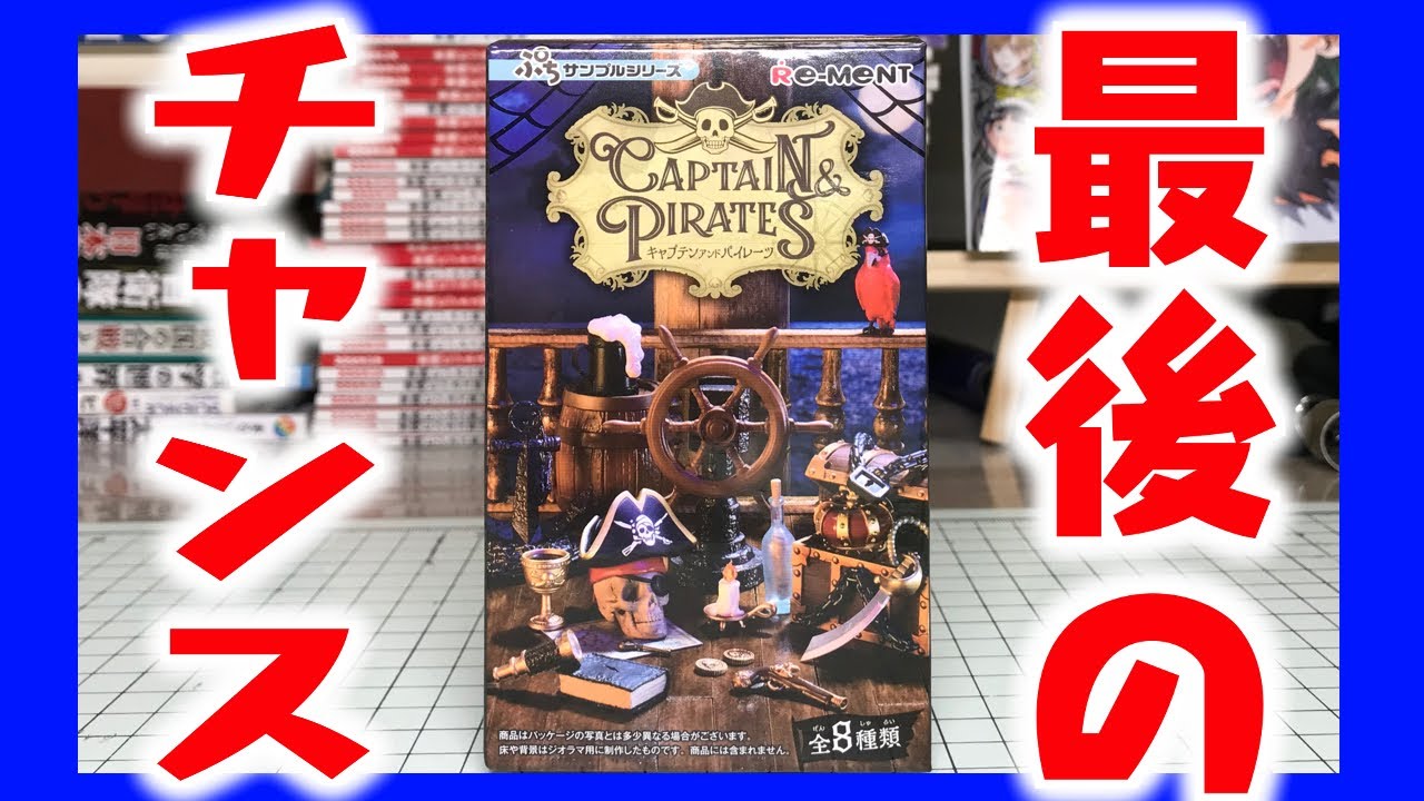 This is your last chance! Captain and Pirates Unboxing Review [Re