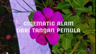 CINEMATIC ALAM BUNGA DI PAGI HARI ☀ | CINEMATIC ALAM 30 DETIK