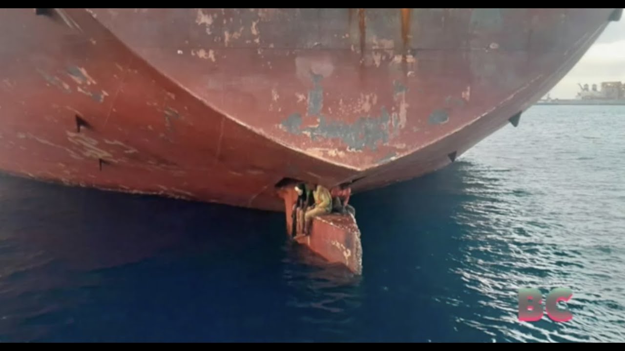 3 Nigerian stowaways found on ship's rudder after 11 days at sea