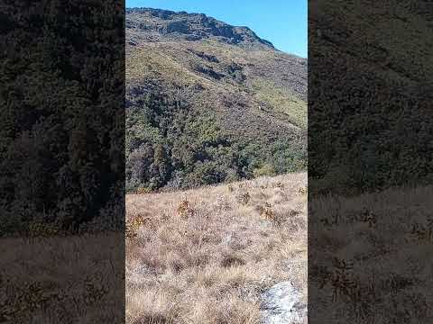 Tallest mountain in Zim: Mt Nyangani