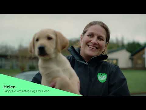 Episode One: Meet the puppies | Škoda x Dogs for Good