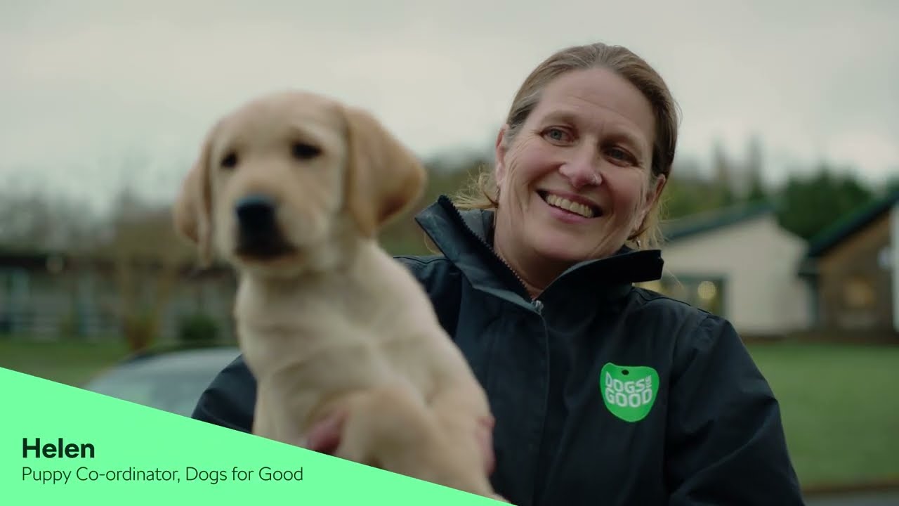Episode One: Meet the puppies | Škoda x Dogs for Good