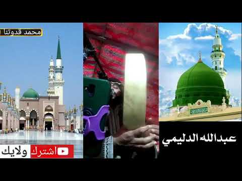 المداح ميسر الحيالي ياطيبه العشاق