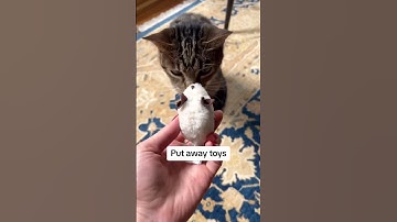 Secrets tidy people know about! 🤫#tidy #home #declutter