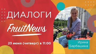 видео: Диалог об организации сбора земляники садовой с Дмитрием Швецом и Ириной Барбашиной картинка: Диалог об организации сбора земляники садовой с Дмитрием Швецом и Ириной Барбашиной