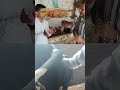 dairy farming tips | cow buffalo deworming tips #shorts