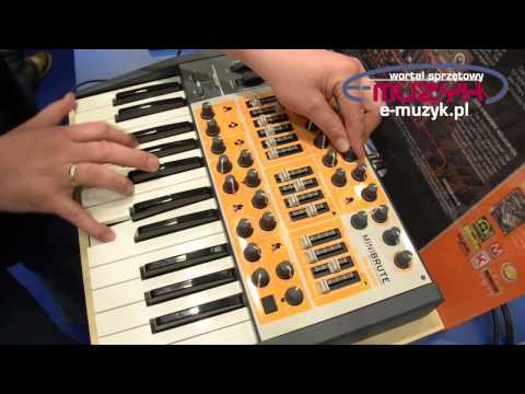 Arturia MiniBrute demo