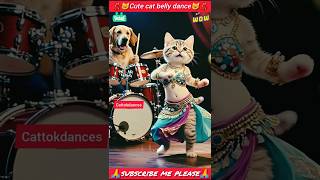 Cute Cat Belly Dance