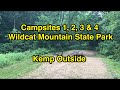 Wildcat Mountain State Park Campsites 1, 2, 3 &amp; 4 | Camping in Wisconsin | Campsite Reviews