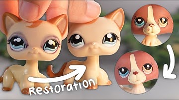 How To Restore LPS | Stain removal & Paint restoration