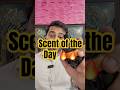 Scent of the day Spicebomb Extreme #perfume #fragrance #mensfragrance #shorts #scentoftheday #yt