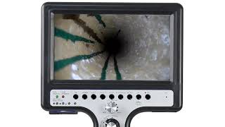 Whats Makes B1 Special?