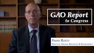 Natural Disasters & the Electricity Grid - Director Summary Natural Disasters & the Electricity Grid - Director Summary