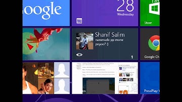 Disable Or Enable Password Reveal In Windows 8