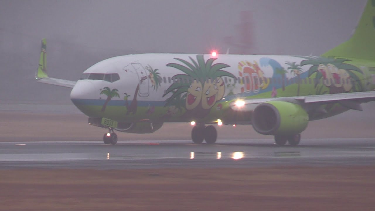 25/12/21 熊本空港 ソラシドエア Solaseed Air Boeing 737-800 (JA803X