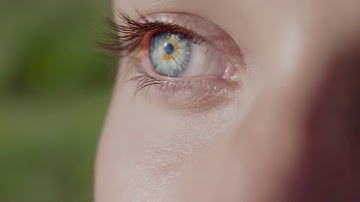 There are a thousand reasons to discover Catalonia