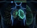 Human Body Aapse Zyada Smart Hai 😱 | Body Facts