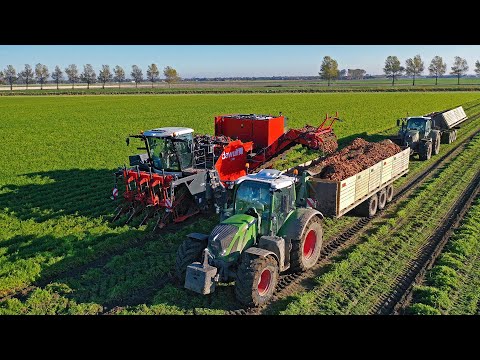 XXL Harvest Special | Franzen Agriculture | Potatoes & carrots | Planting tulips & wheat