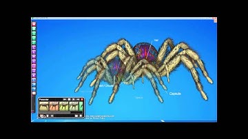 Cyber Science 3D Presenter Demo