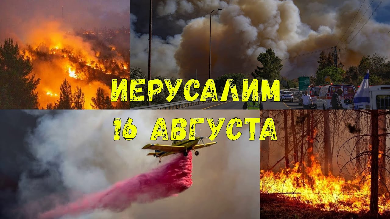 УЖАСНЫЕ КАДРЫ! Небо над Иерусалимом заволокло дымом после сильного лесного пожара