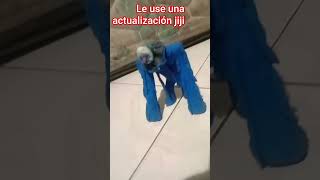 1/10 cuando le da?