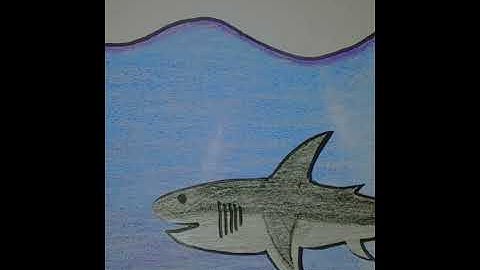 Tugas Animasi 2D & 3D || Stop motion || Rantika Sari XI Multimedia 1 Smkn2cikbar